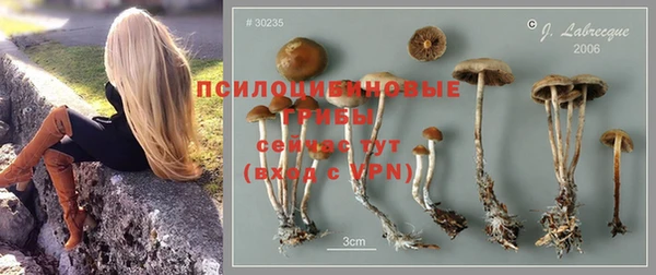 Альфа ПВП Гатчина