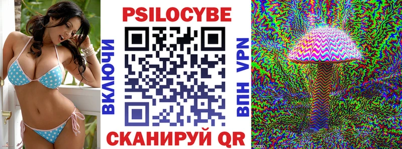 купить   Магнитогорск  Псилоцибиновые грибы Psilocybe 